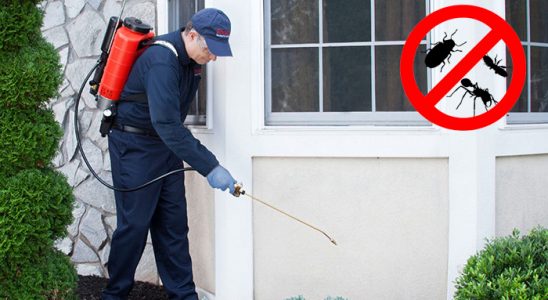 Sakarya Böcek İlaçlama böcek ilaçlama ve haşere kontrolü — ilaclama-tr.com